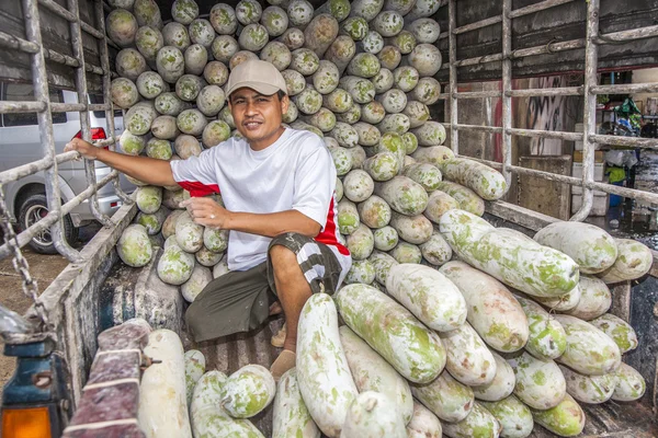 Unidentified  man transports large cocumbers in his car — Stock Photo, Image