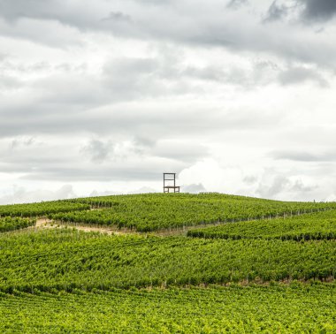 üzüm bağları, kaiserstuhl bölge, baden wurttemberg, Almanya