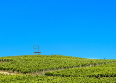 üzüm bağları, kaiserstuhl bölge, baden wurttemberg, Almanya