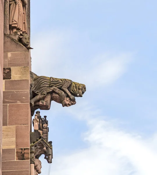 Gargoyle in pietra arenaria a Freiburg Minster — Foto Stock