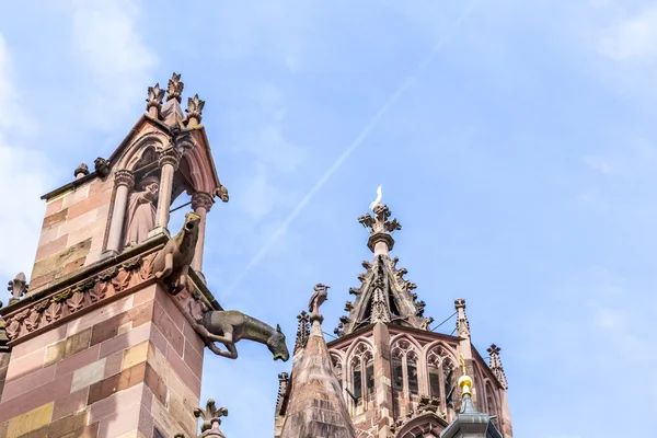 Gargoyle in pietra arenaria a Freiburg Minster — Foto Stock