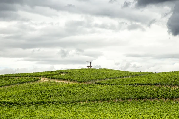 Viñedos de la región de Kaiserstuhl, Baden-Wurttemberg, Alemania — Foto de Stock