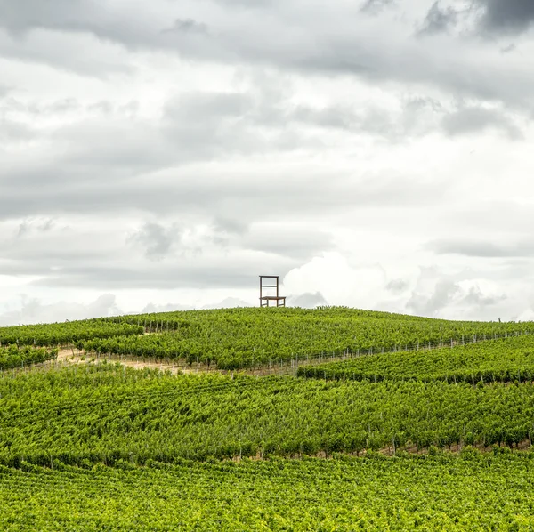Weinanbaugebiete am Kaiserstuhl, Baden-Württemberg, Deutschland — Stockfoto