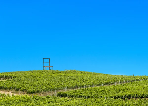 Vinhedos da região de Kaiserstuhl, Baden-Wurttemberg, Alemanha — Fotografia de Stock