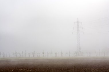 Elektrik pilon elma ağacı alanıyla sabah sis