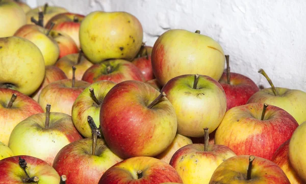 Las manzanas se almacenan en el sótano —  Fotos de Stock