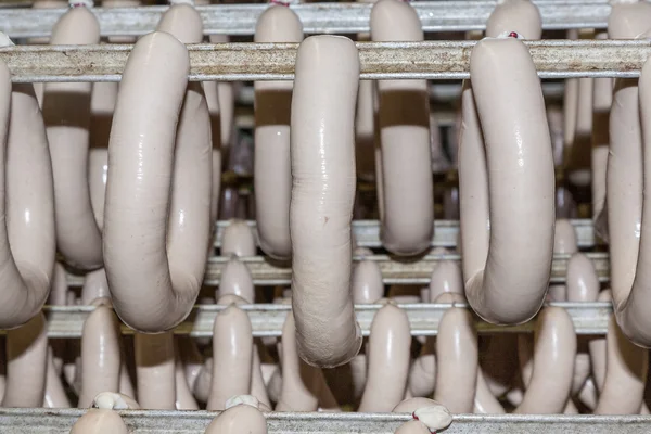 Sausages are drying after cooking in hot water — Stock Photo, Image