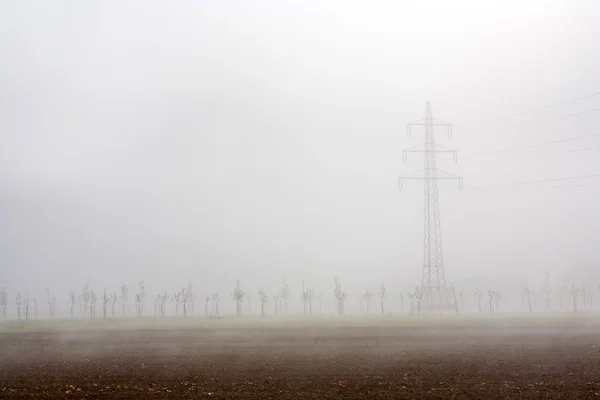 Porannej mgle w polu drzewa jabłko z elektrycznym pylon — Zdjęcie stockowe