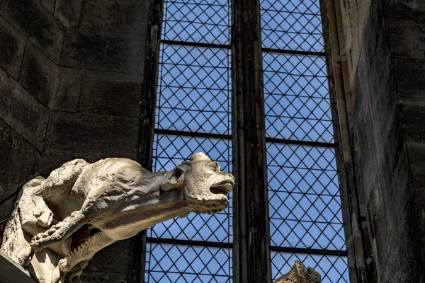 Chrlič (chrlič) Stephansdom Wien (St. Stephen katerizoval — Stock fotografie