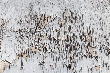 Eski gri renkli ahşap duvarın deseni. Gri renkte soyuluyor. Eski tarz zamanı simgeliyor.