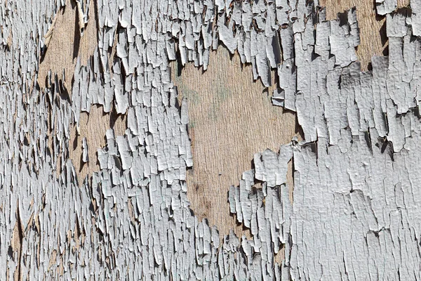 Eski gri renkli ahşap duvarın deseni. Gri renkte soyuluyor. Eski tarz zamanı simgeliyor.
