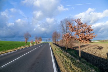 Thuringia, Almanya ağaçlarda kırsal manzara ile sokak