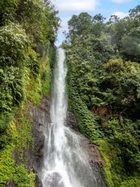 Bali, Endonezya doğal şelale orman