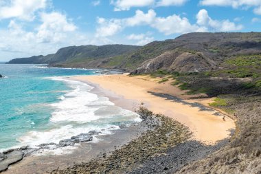 Fernando de Noronha, Brezilya. Önünde bitkiler ve manzaralı güzel boş kumlu sahil manzarası