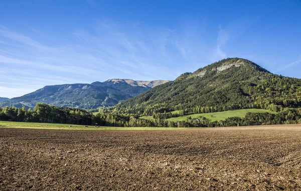 Campo cerca del cañón con el río La blanche Torrent — Foto de Stock