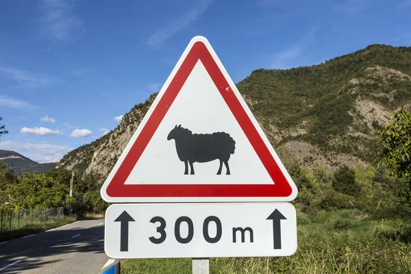 Street sign sheep warning — Stock Photo, Image