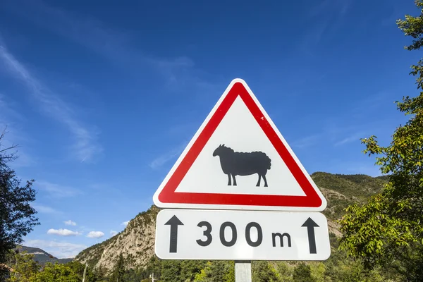Уличный знак предупреждения овец — стоковое фото