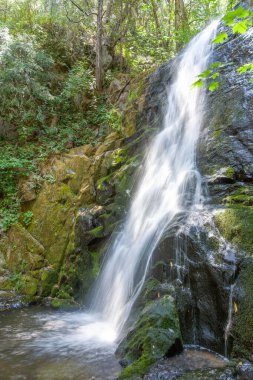 Sequoia Ulusal Parkı 'nda Cascade Deresi' nde, Christal Mağarası 'nın yanında manzaralı ağaçlar ve şelaleli.