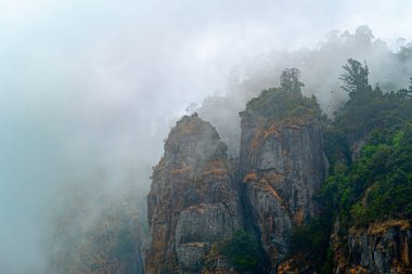 Manzaralı Pillar Kodaikanal, Kerala, Hindistan 'da siste sallanıyor.