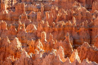 Muhteşem hoodoo taşlarıyla Bryce Kanyonu manzarası, ABD