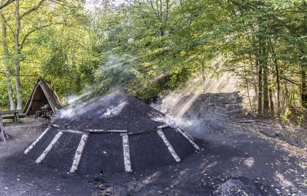 Bruciando carbone nella foresta — Foto Stock