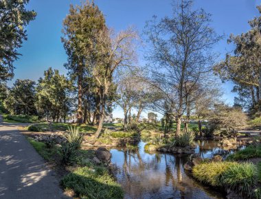 Golden Gate Park 'ın manzaralı küçük deresi, San Francisco, ABD