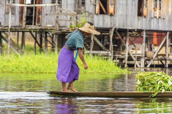 Hombre en un barco con verduras — Foto de Stock