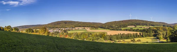 Panoramautsikt över landskapet med alley, åkrar och skog — Stockfoto