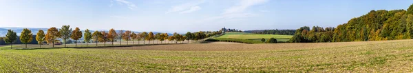 Panoramautsikt över landskapet med alley, åkrar och skog — Stockfoto