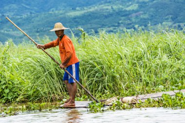 Intha lake farmer controls his field  in his typical canoe with
