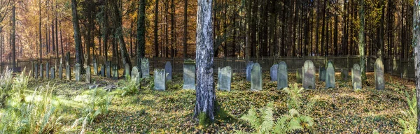 Old jewish cemetery in the forest — Stock Photo, Image