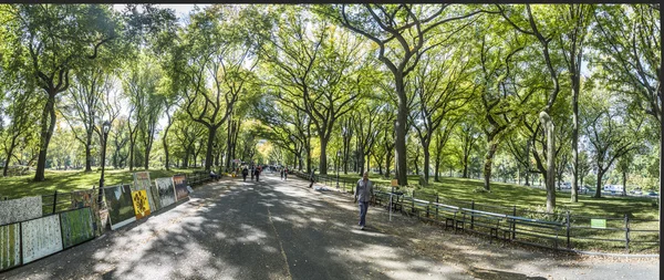 中央公園でウォーキングを楽しむ人々 — ストック写真