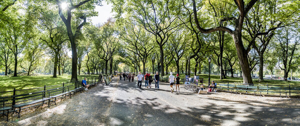 NEW YORK, USA - OCT 21, 2015: People enjoying walking in Central Park. The park is the most visited urban park in the United States with 35 million visitors annually.