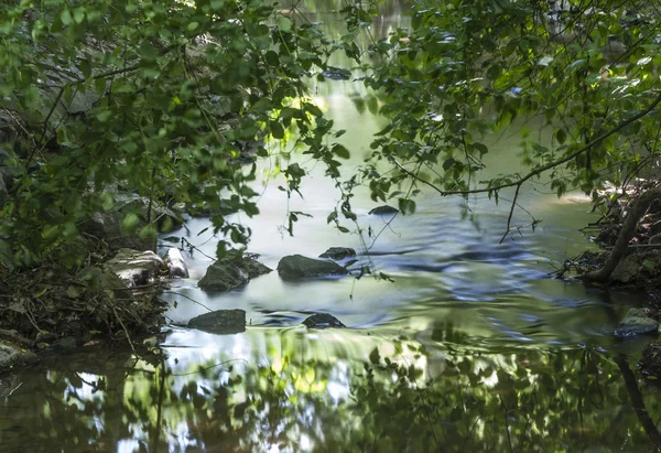 Bella piccola insenatura circondata da alberi verdi — Foto Stock