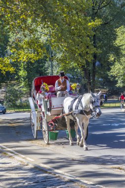 People enjoy carriage ride in Central Park