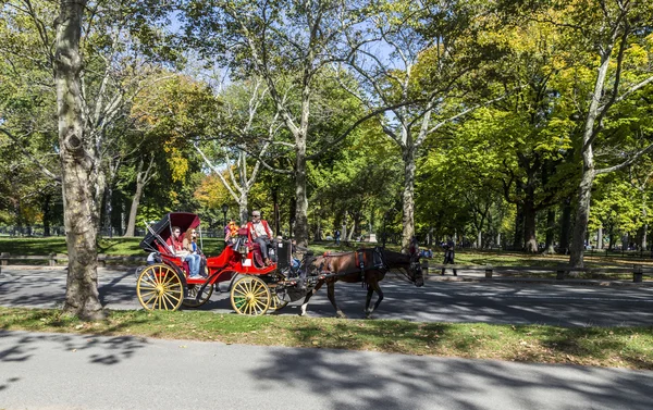 People enjoy carriage ride in Central Park — Φωτογραφία Αρχείου