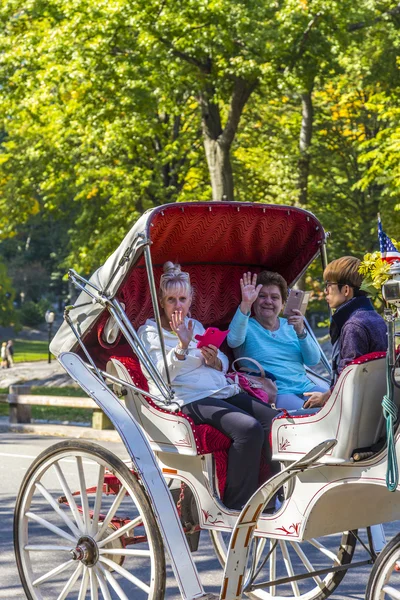 People enjoy carriage ride in Central Park — Stockfoto