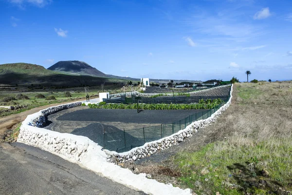 Fält i landsbygden med blå himmel — Stockfoto