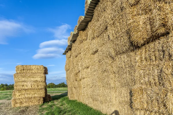 Bale av halm på hösten — Stockfoto