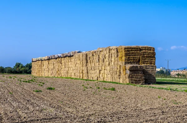 Bale of straw in autumn in intensive colors — Stock Photo, Image