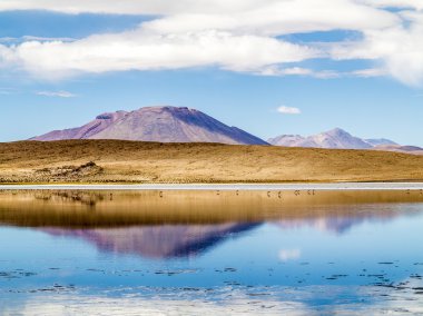 Laguna Kara salt lake with reflection of the mountain, Eduardo A
