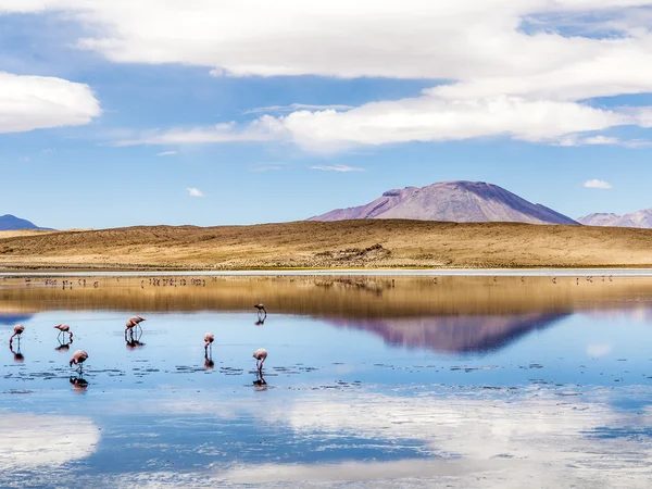 Laguna Kara lago de sal com reflexo da montanha, Eduardo A — Fotografia de Stock