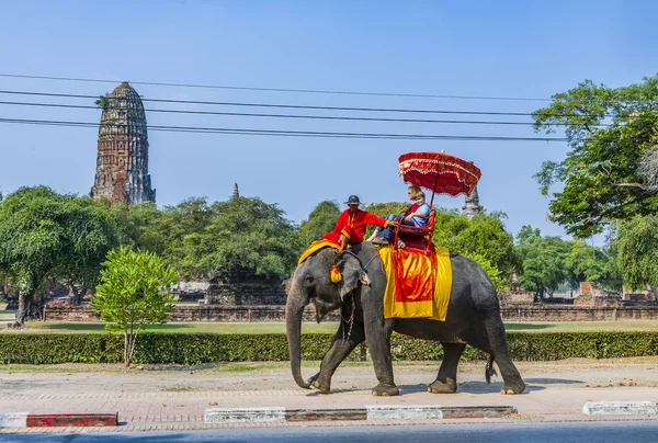 Tourists ride on an elephant in the Historical Park — Stock Photo, Image