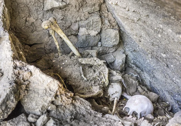 Antyczne mumie w Alcaya, Boliwia — Zdjęcie stockowe
