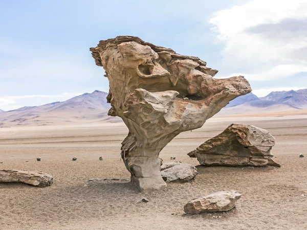 Arbol de Piedra (stenen boom) is een geïsoleerde rotsformatie in Bo — Stockfoto