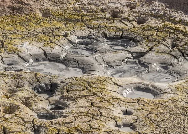 Geiser bekken Sol de Manana, Bolivia — Stockfoto