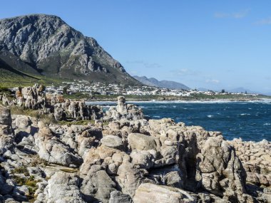 kıyı şeridi Fernkloof tabiatı 
