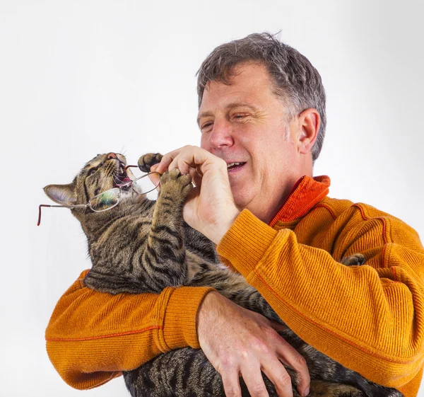 Bir adamın gözlük yakalamaya çalışan kedi — Stok fotoğraf