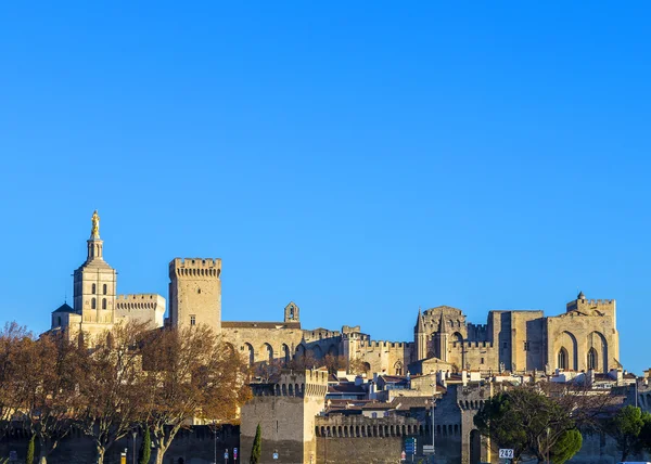 Skyline van Avignon met gotische gebouw van het paleis van de pausen — Stockfoto