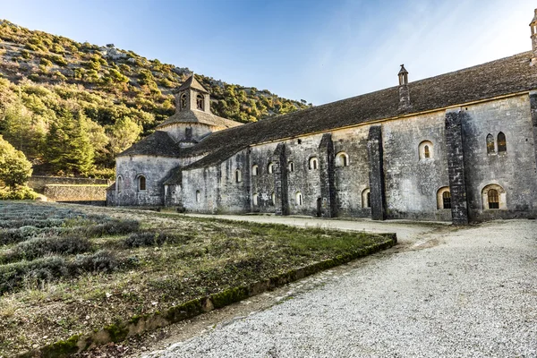 Знаменитое аббатство Сенанк — стоковое фото